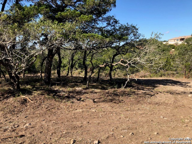 Spring Branch, Texas 78070, United States, ,Land,Active,74675