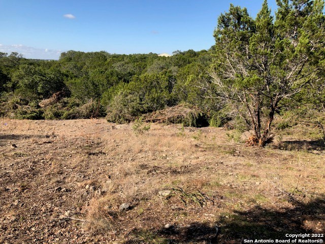 Spring Branch, Texas 78070, United States, ,Land,Active,74675