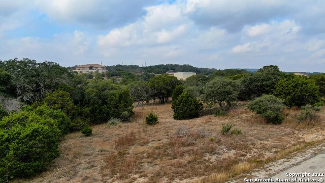 Spring Branch, Texas 78070, United States, ,Land,Active,74675