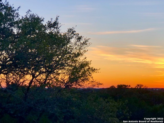 Spring Branch, Texas 78070, United States, ,Land,Active,74675
