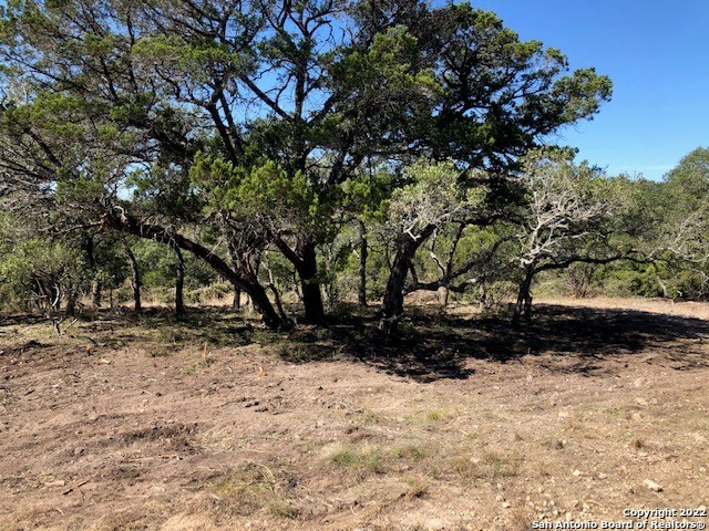 Spring Branch, Texas 78070, United States, ,Land,Active,74675