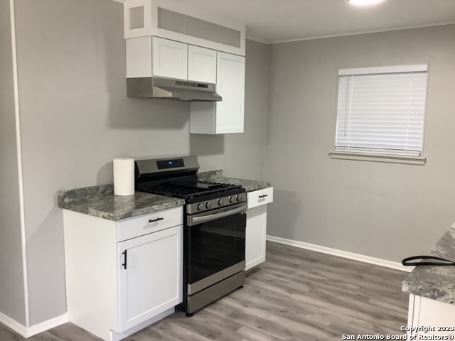 522 W HOLLYWOOD AVE
