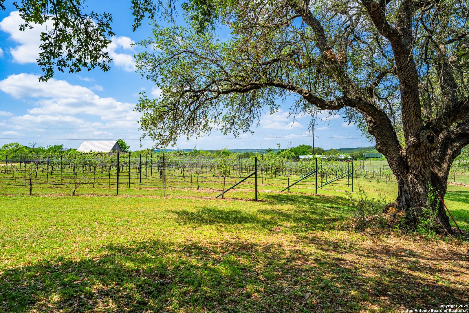 1353 County Road 432