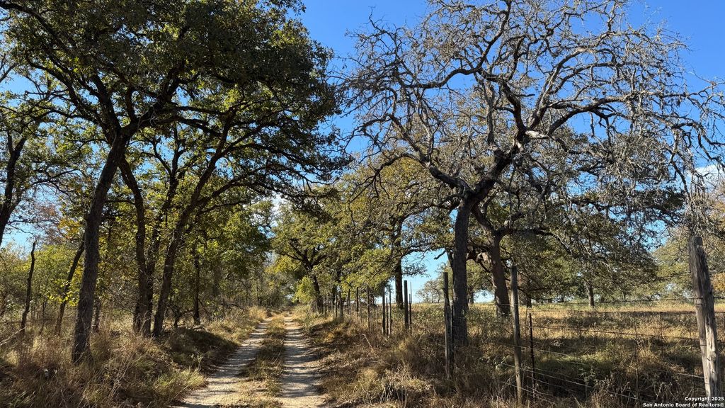Photo of 19764 S State Highway 123, Seguin, TX 78155 (MLS # 1906726)
