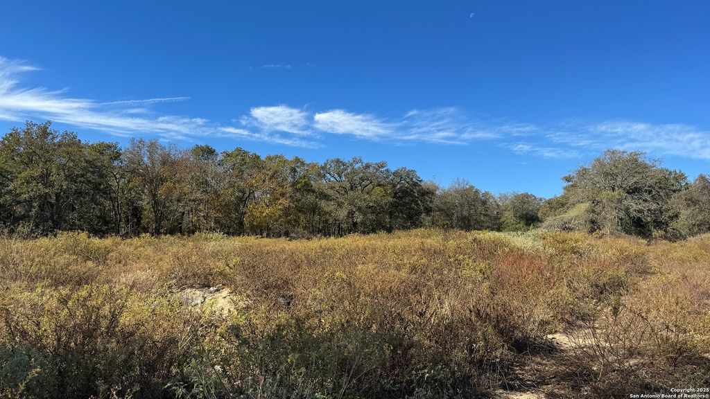 Photo of 19764 S State Highway 123, Seguin, TX 78155 (MLS # 1906726)