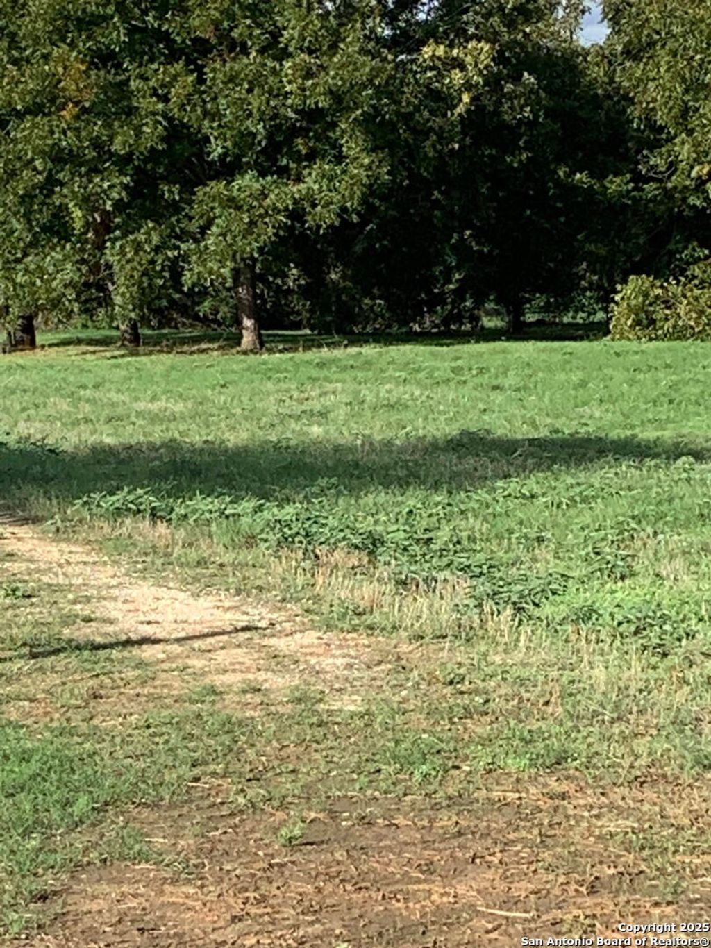 Photo of 263 Krams Creek, Seguin, TX 78155 (MLS # 1949746)