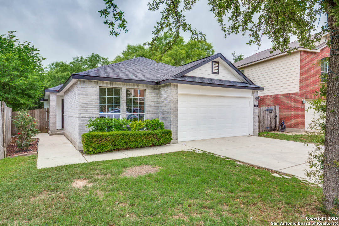 10246 Roseangel