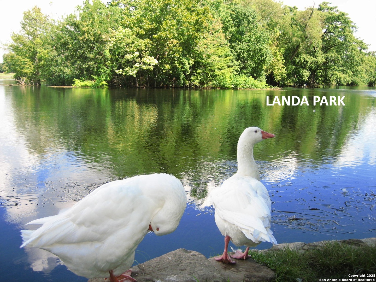 New Braunfels, Texas 78130, United States, 2 Bedrooms Bedrooms, ,2 BathroomsBathrooms,Residential,Active,89075