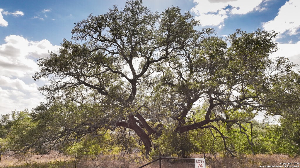 Photo of 327 PR Sunset Vista Dr Lot 74, Somerset, TX 78069 (MLS # 1789232)