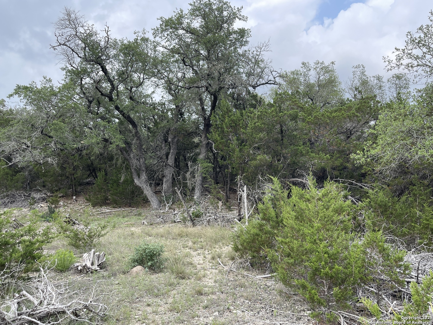1515 Old Boerne