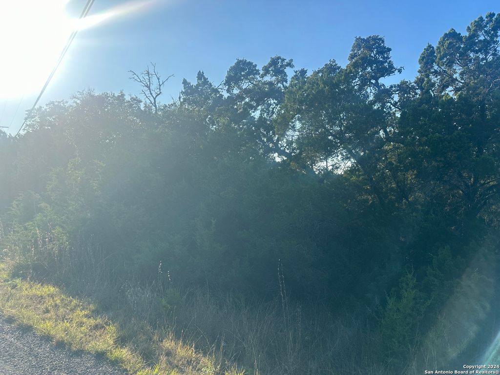 Photo of 2377 BOBCAT DR, Bulverde, TX 78163 (MLS # 1822653)