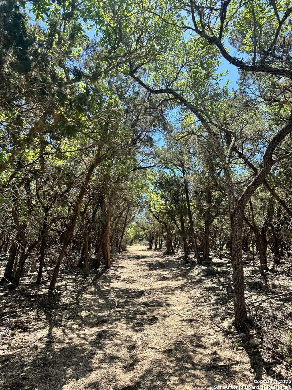 Photo of 277 Gallagher, Canyon Lake, TX 78133 (MLS # 1894504)