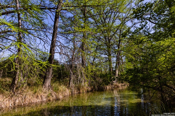 816 CORNELIUS RD, UTOPIA, TX 78884 - Image 1afbb90c74199867de84fde5dbd5d4ce/4077138534