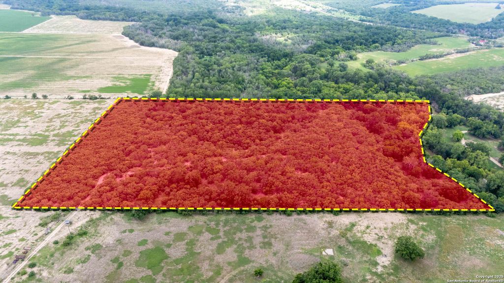 Photo of 15828 FM 775, Floresville, TX 78114 (MLS # 1861703)