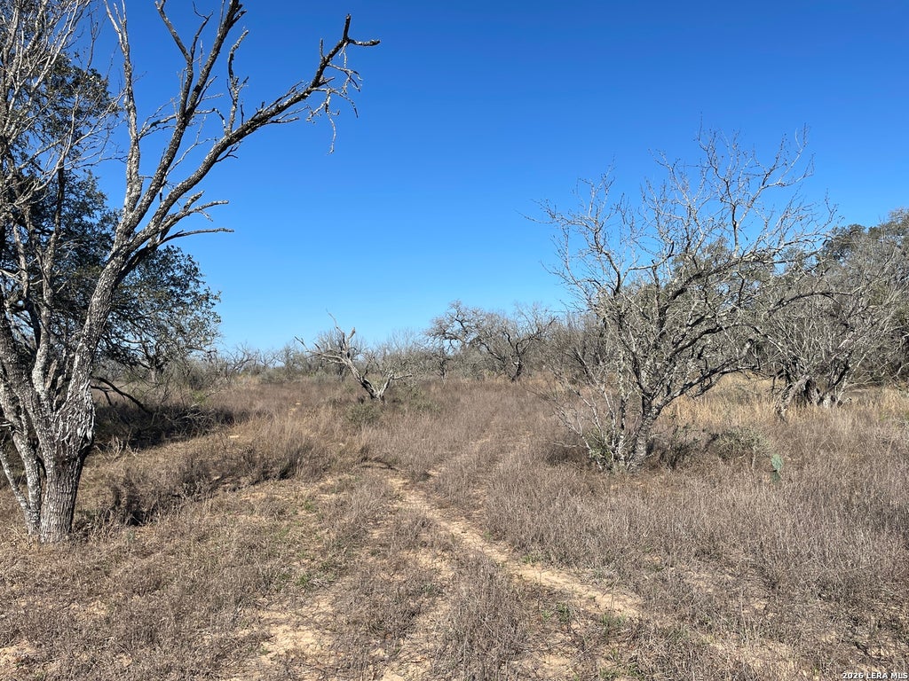 Photo of TRACT#8 12.31A County Road 777, Devine, TX 78016 (MLS # 1951429)