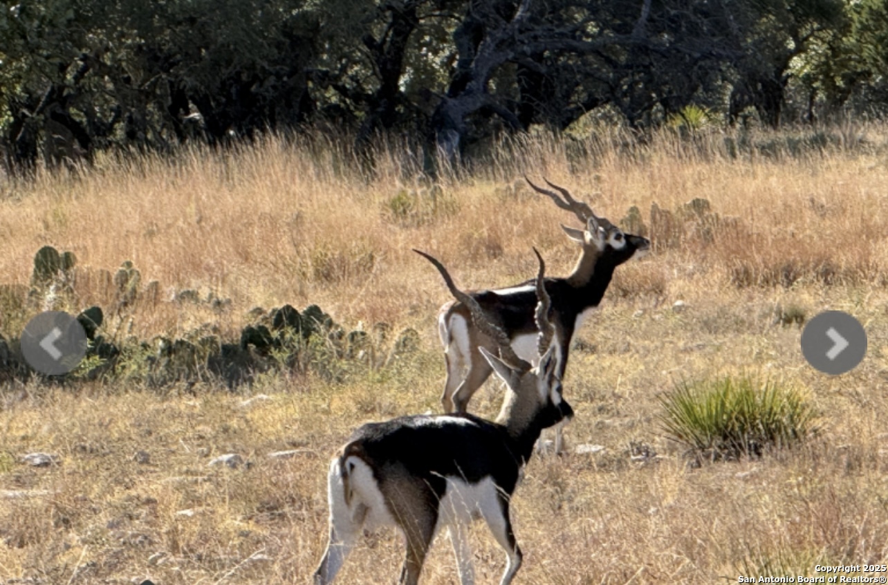 14410 us highway 190