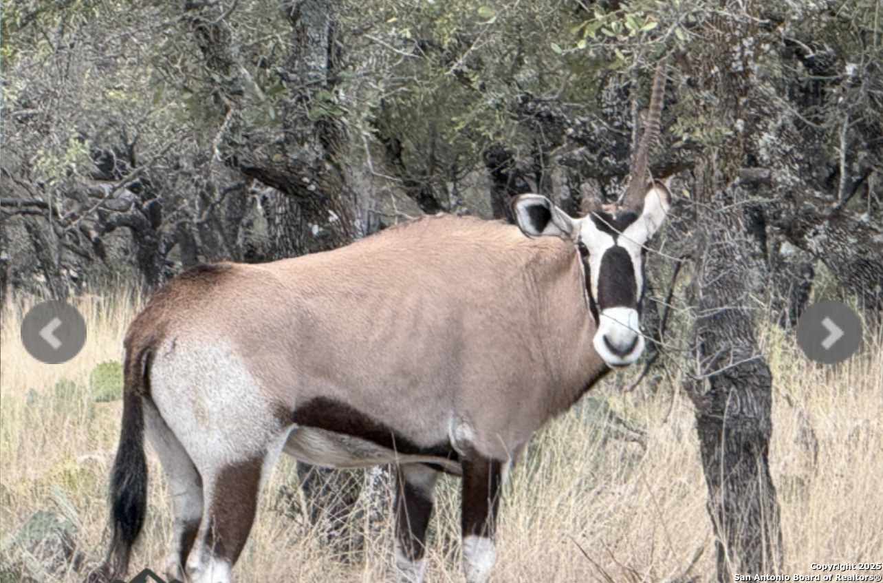 14410 us highway 190