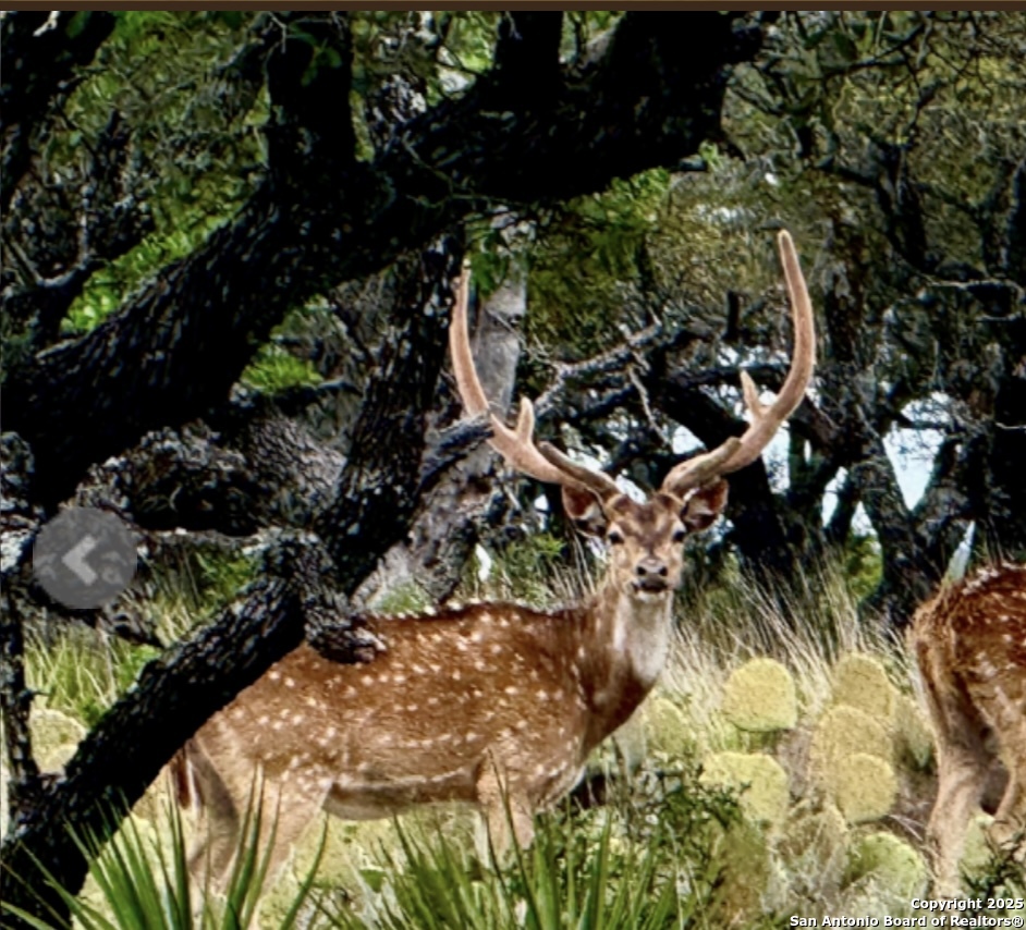 14410 us highway 190