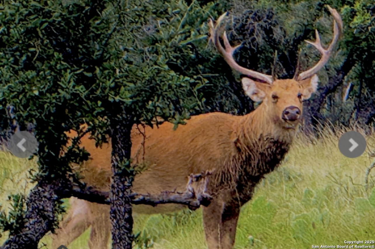 14410 us highway 190