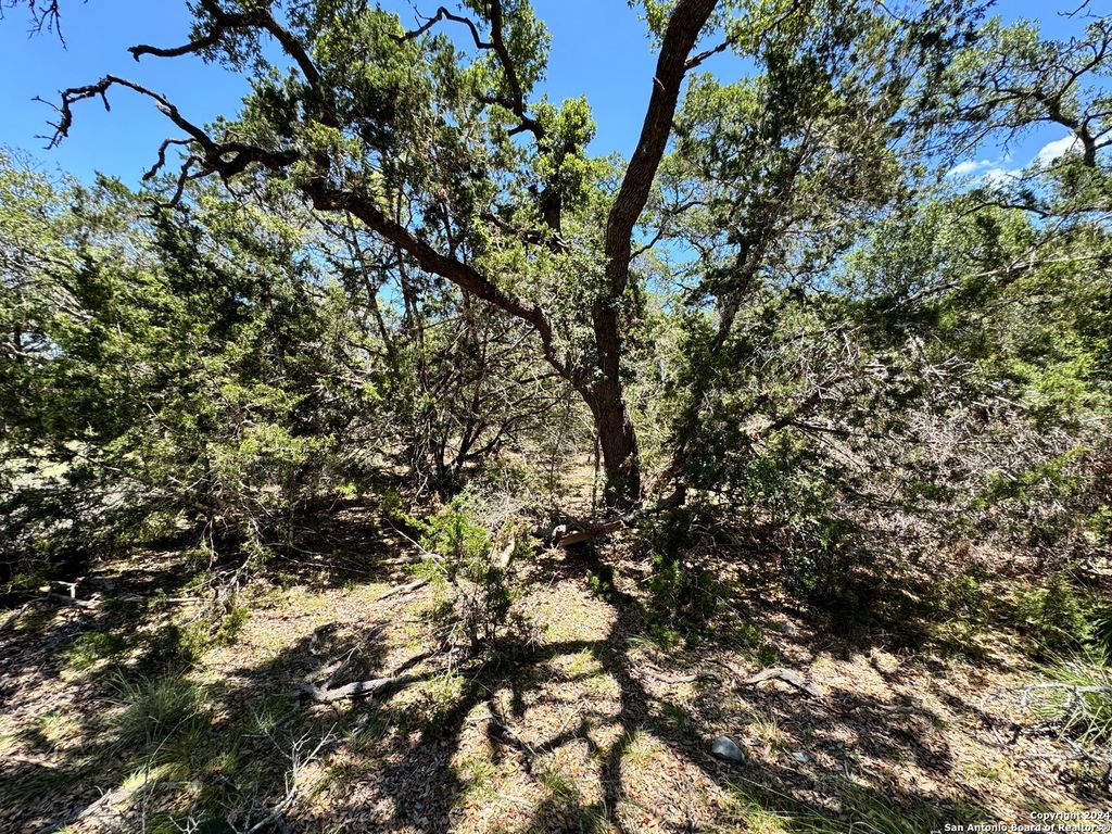 Photo of 854 Maximino Ridge, Bulverde, TX 78163 (MLS # 1792453)