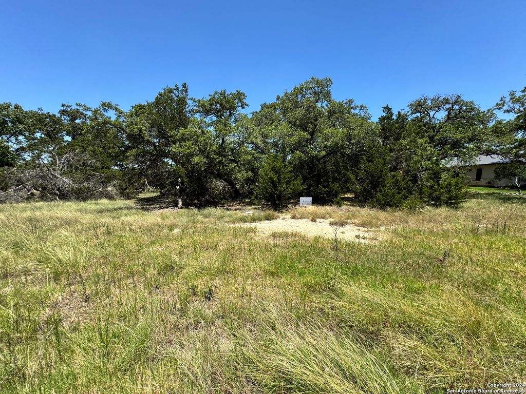Photo of 854 Maximino Ridge, Bulverde, TX 78163 (MLS # 1792453)