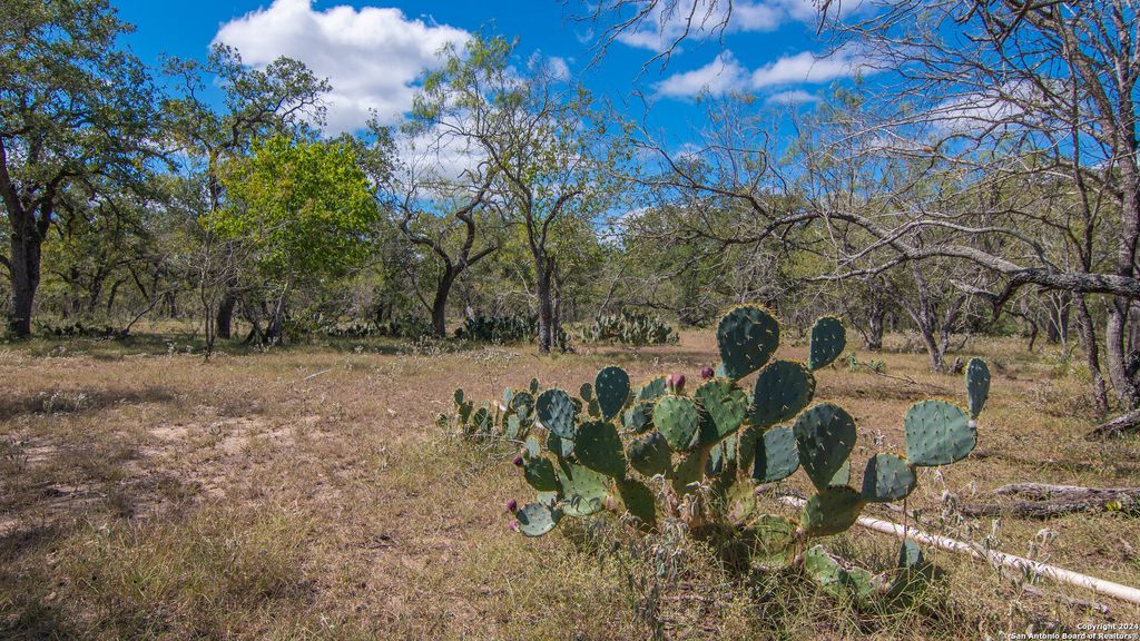 Photo of TBD County Road 434, Stockdale, TX 78155 (MLS # 1813403)