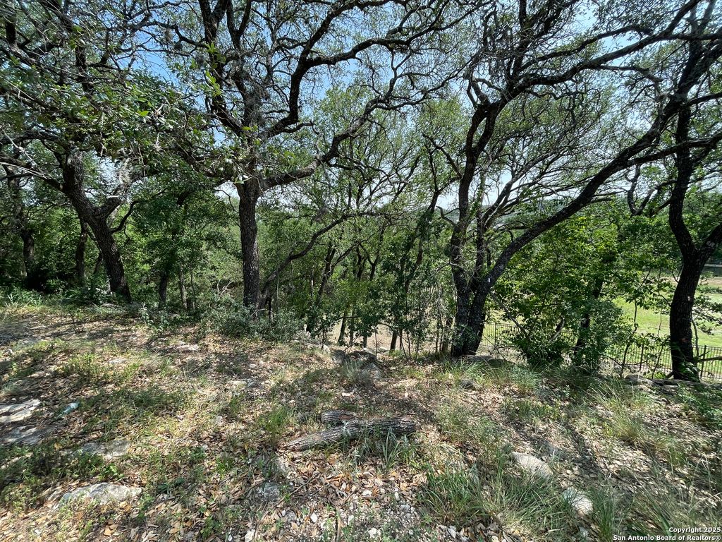 Photo of 24635 Cliff Line, San Antonio, TX 78257 (MLS # 1848151)