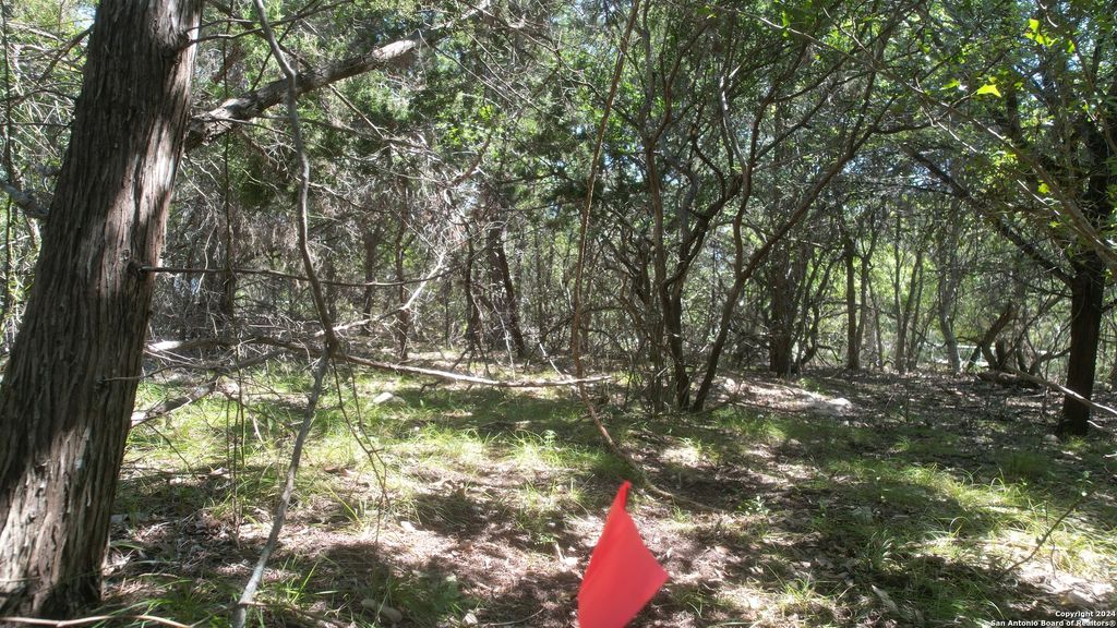 Photo of 11736 SEIFFERT, Live Oak, TX 78233 (MLS # 1805136)