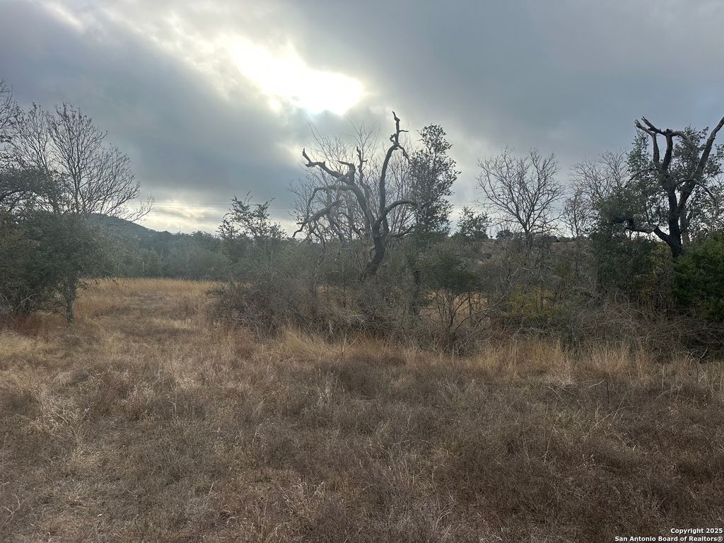 Photo of 119 Platten Creek, Boerne, TX 78006 (MLS # 1930670)