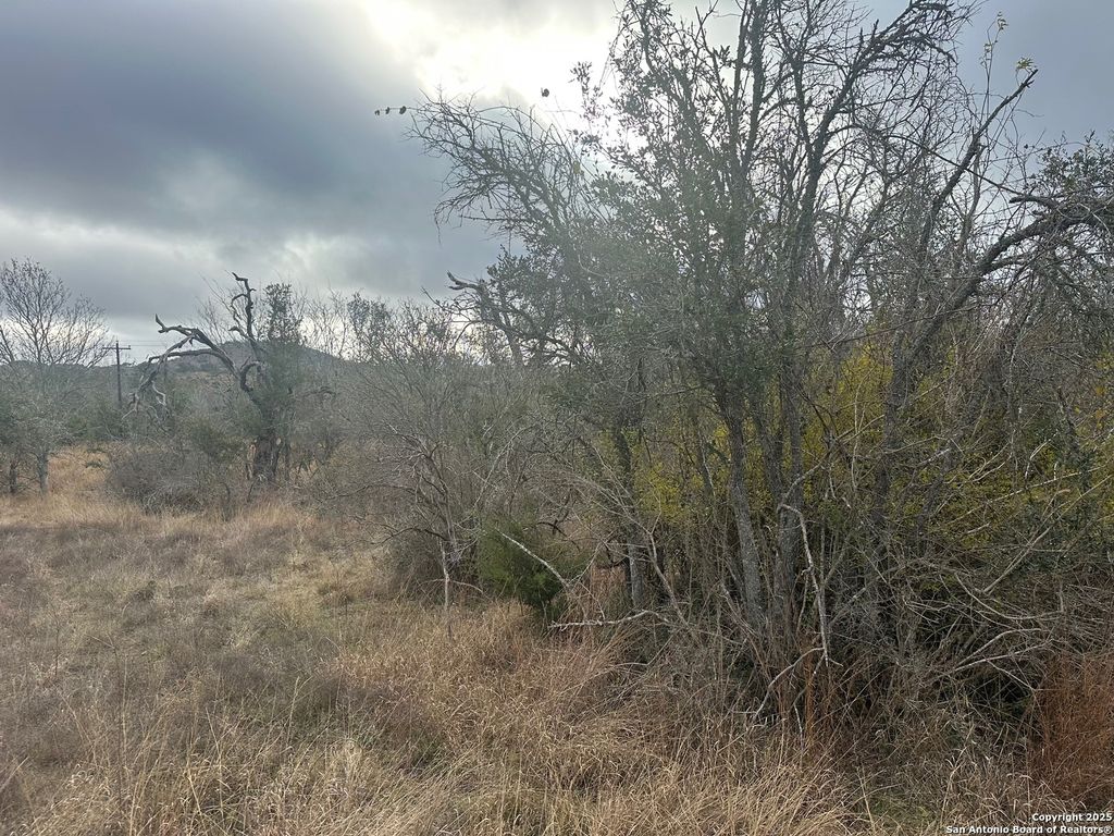 Photo of 119 Platten Creek, Boerne, TX 78006 (MLS # 1930670)