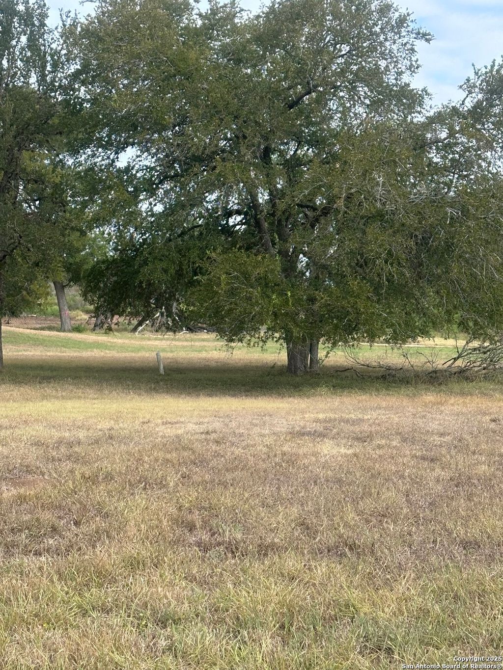 Photo of TBD Fm 725, Seguin, TX 78155 (MLS # 1898909)
