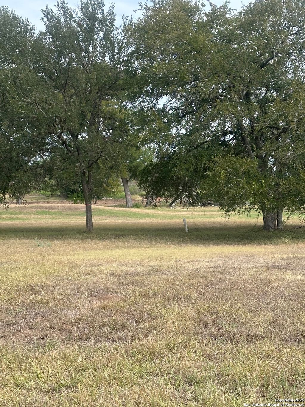 Photo of TBD Fm 725, Seguin, TX 78155 (MLS # 1898909)