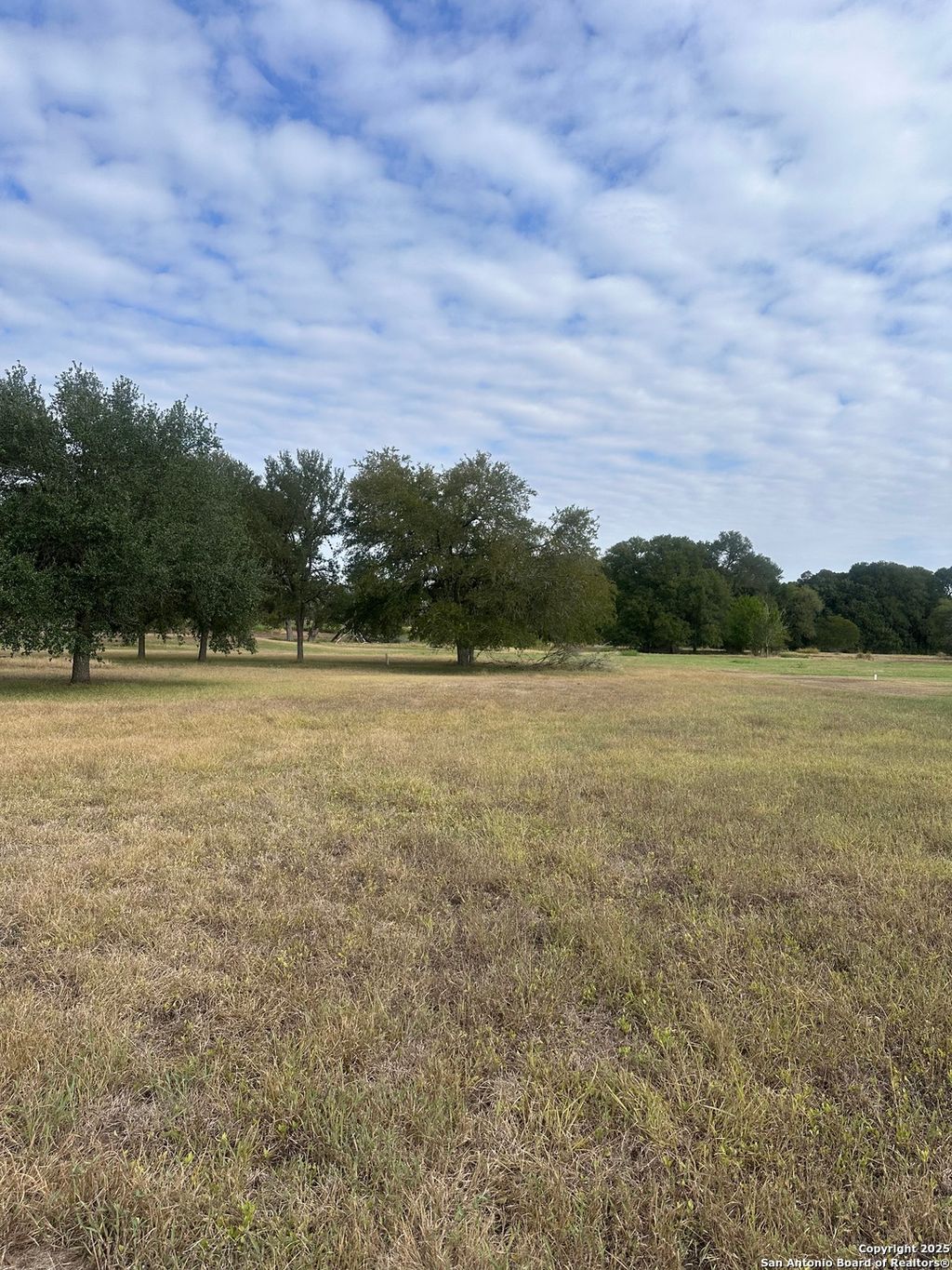 Photo of TBD Fm 725, Seguin, TX 78155 (MLS # 1898909)