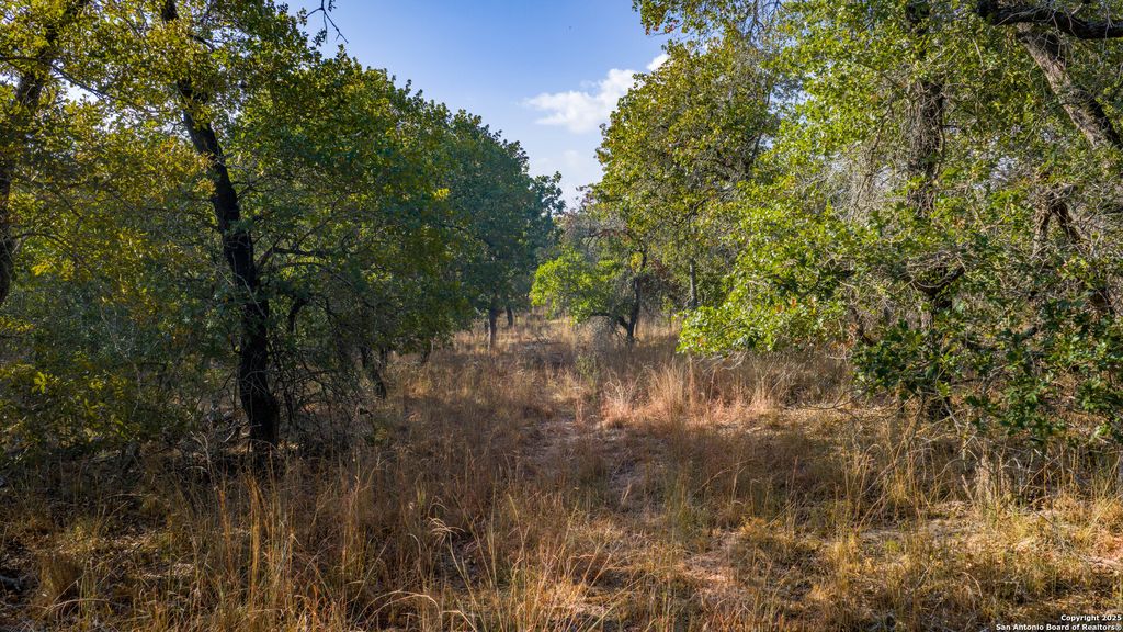 Photo of LOT 17 &amp; 18 Sandstone Lane, Seguin, TX 78155 (MLS # 1917192)