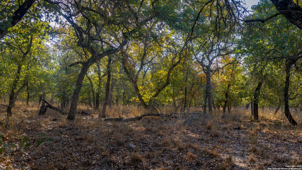 Photo of LOT 17 &amp; 18 Sandstone Lane, Seguin, TX 78155 (MLS # 1917192)