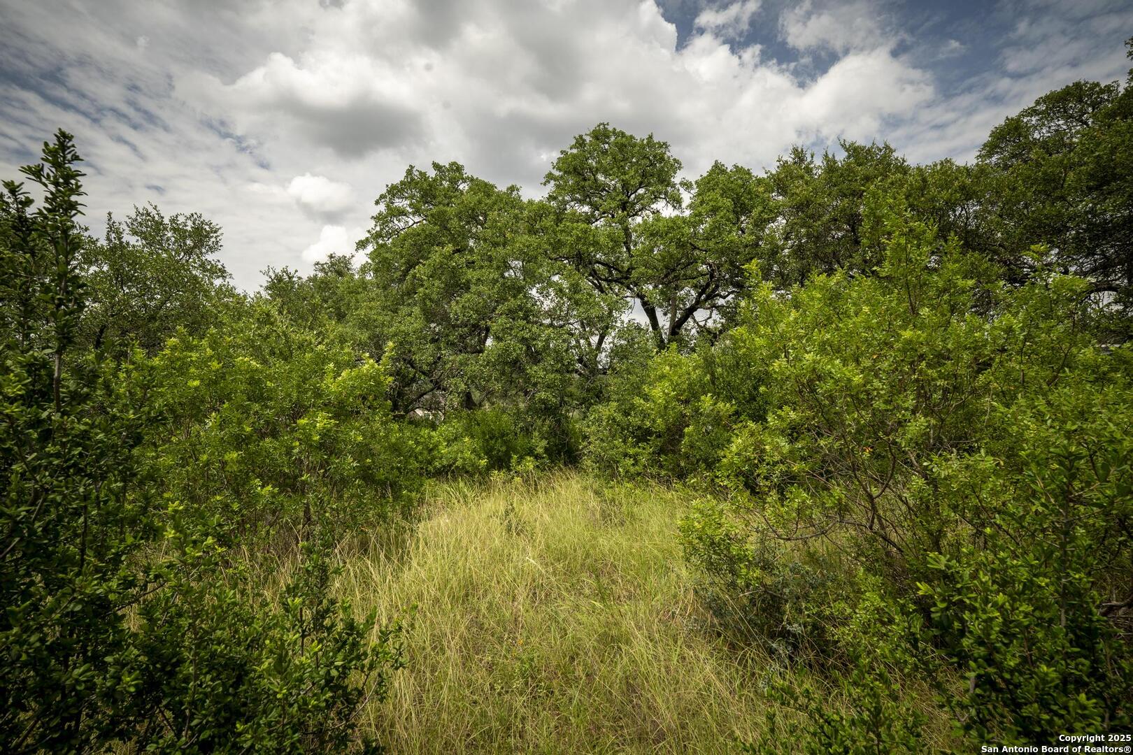 23415 Collin Canyon