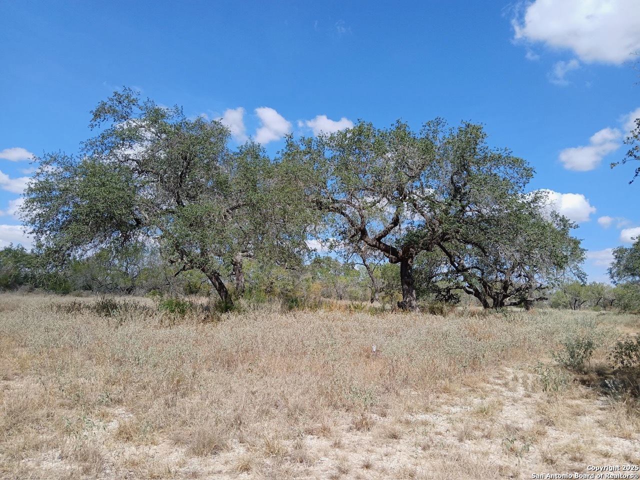 4415 State Highway 173