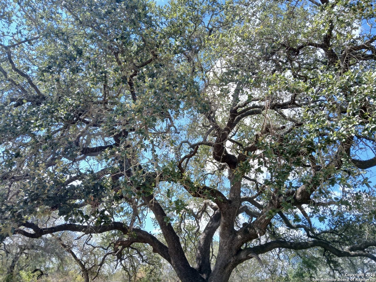 4415 State Highway 173