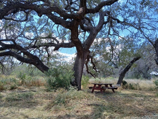4415 STATE HIGHWAY 173, BIGFOOT, TX 78005 - Image 2299f7be6eb57e1bc4401be3bafc9ea6/3635297435