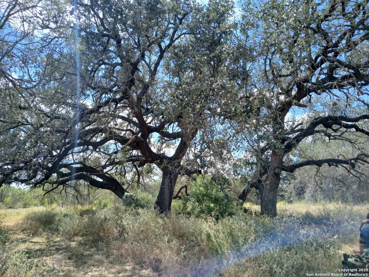 4415 State Highway 173