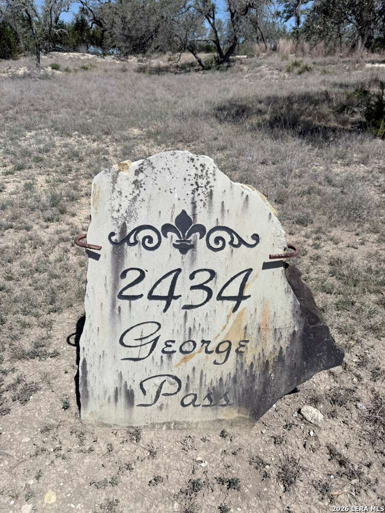 Search 2434 George Pass