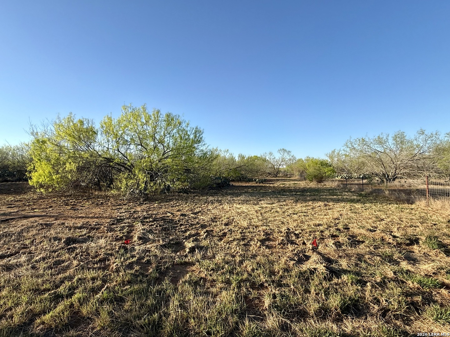 2175 county road 332