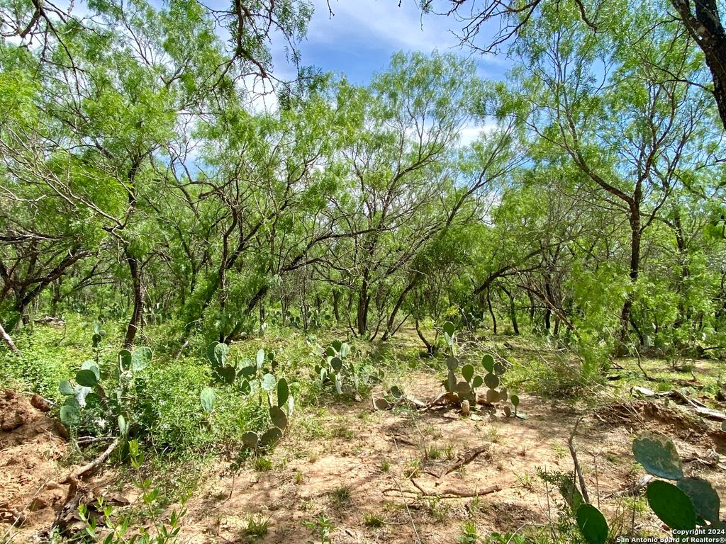 Photo of TBD Dairy Road, Pleasanton, TX 78064 (MLS # 1835628)