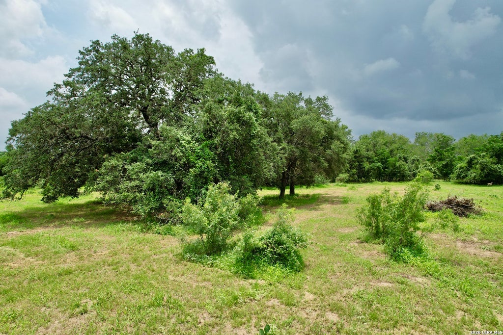 Photo of 1873 Bronder rd, Pleasanton, TX 78064 (MLS # 2003437)
