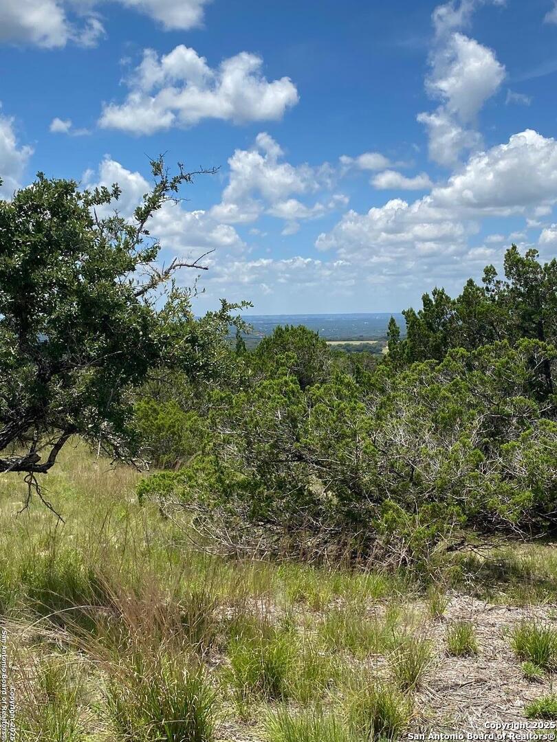 73 Billings Forest