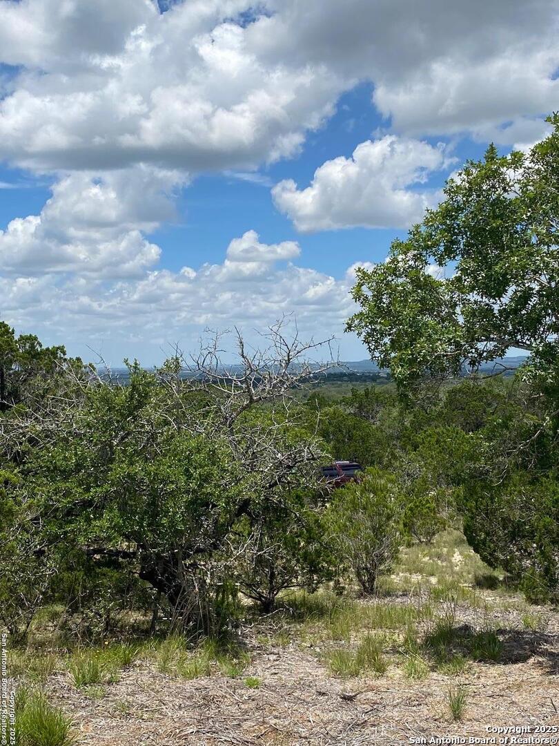 73 Billings Forest