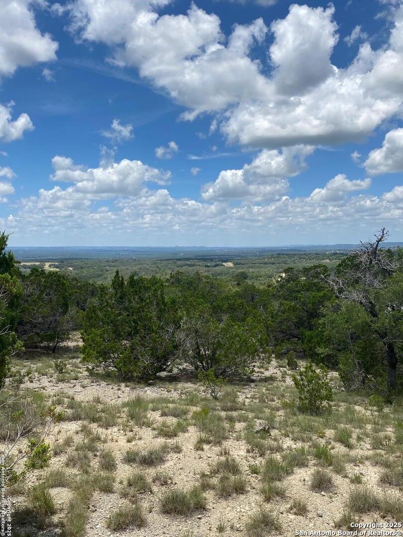 73 Billings Forest
