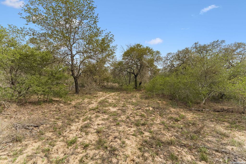 Photo of 174 Adcock Lane, Somerset, TX 78069 (MLS # 1971157)