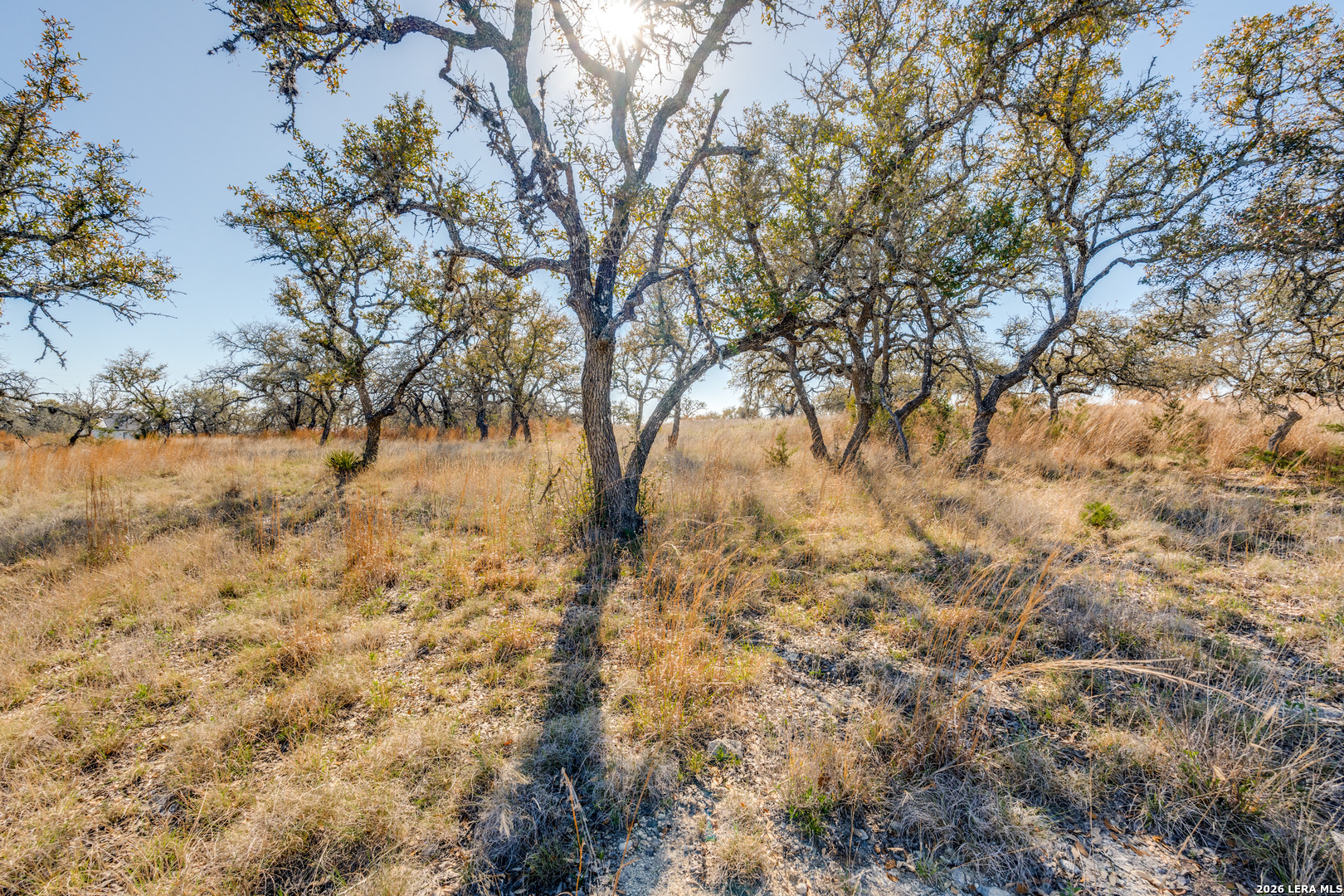 Search LOT 19 Greco Bend