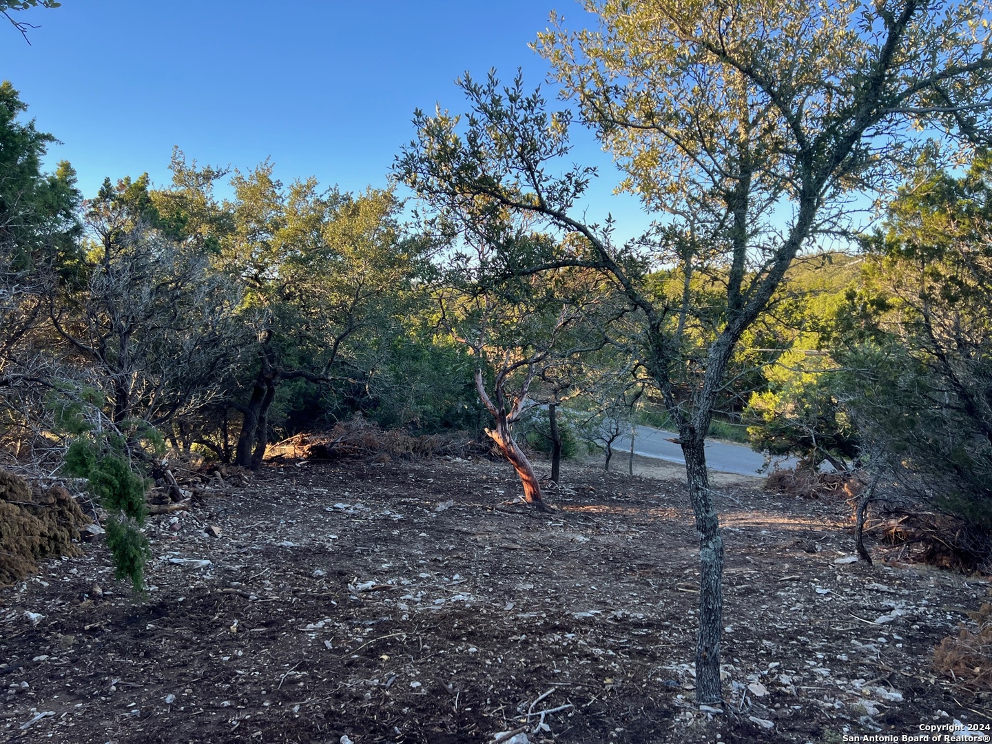 Canyon Lake, Texas 78133, United States, ,Land,Active,53361